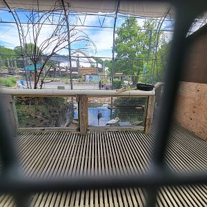 Franklin Park 7/22 - Outback Trail, budgie aviary closed due to bird flu