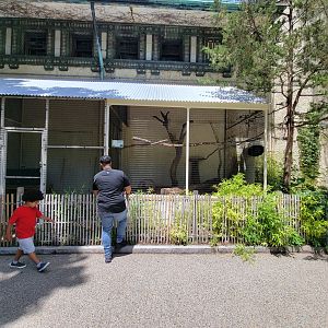 Franklin Park 7/22 - Bird's World outdoors, Umbrella Cockatoo