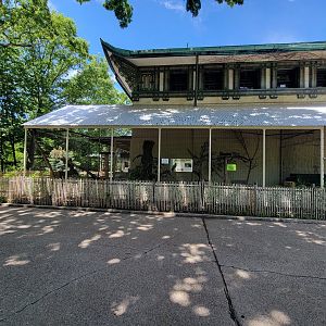 Franklin Park 7/22 - Bird's World outdoors, Kea