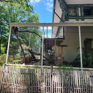Franklin Park 7/22 - Bird's World outdoors, Kea