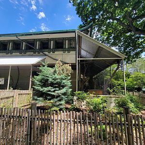 Franklin Park 7/22 - Bird's World outdoors, Kookaburra and Kea