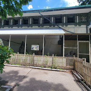 Franklin Park 7/22 - Bird's World outdoors, Laughing Kookaburra