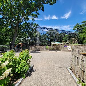Franklin Park 7/22 - Bird's World outdoors, Raptor Ridge