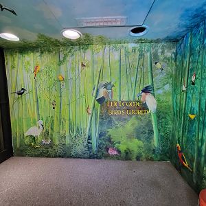 Franklin Park 7/22 - Bird's World mural between sets of doors