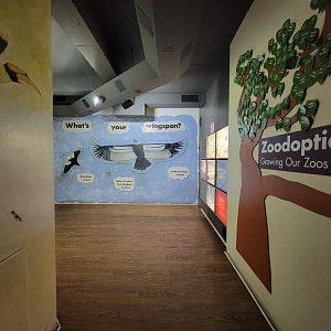 Franklin Park 7/22 - Bird's World inside