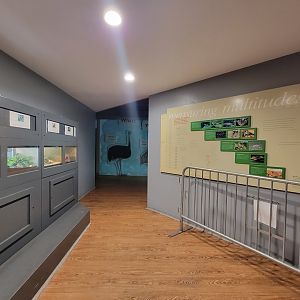 Franklin Park 7/22 - Bird's World insect corner