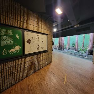 Franklin Park 7/22 - Bird's World, Swamp exhibit