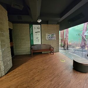 Franklin Park 7/22 - Bird's World Swamp exhibit