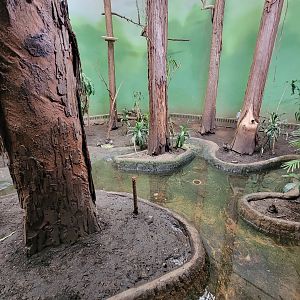 Franklin Park 7/22 - Bird's World Swamp exhibit