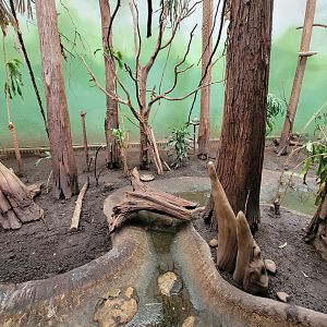 Franklin Park 7/22 - Bird's World Swamp exhibit