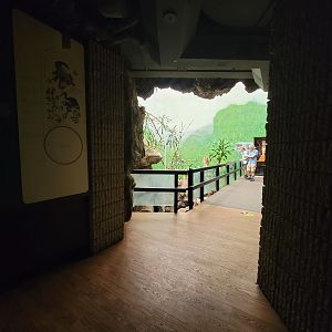 Franklin Park 7/22 - Bird's World Rainforest