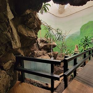 Franklin Park 7/22 - Bird's World Rainforest