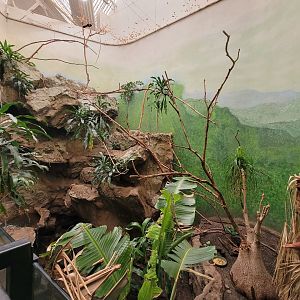 Franklin Park 7/22 - Bird's World Rainforest