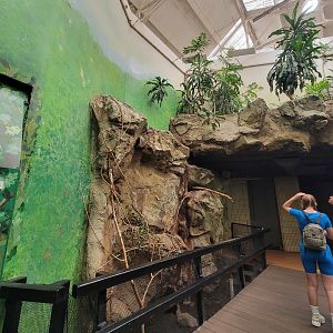 Franklin Park 7/22 - Bird's World Rainforest