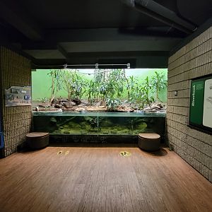 Franklin Park 7/22 - Bird's World Riverbank