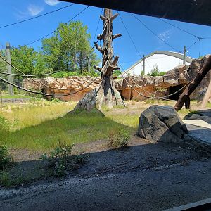 Franklin Park 7/22 - Gorilla Grove outdoors