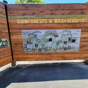 Franklin Park 7/22 - Rainforests & Biodiversity