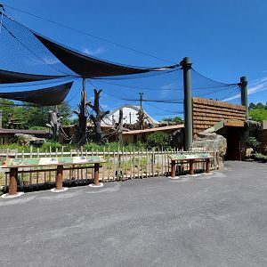 Franklin Park 7/22 - Gorilla Grove outdoors, one end of the hall/tunnel between yards