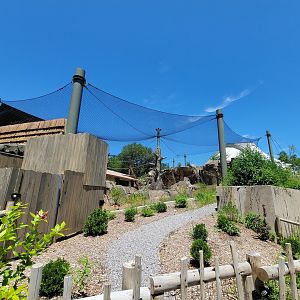 Franklin Park 7/22 - Gorilla Grove outdoors, upper area