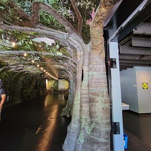 Franklin Park 7/22 - Tropical Forest, inside entrance