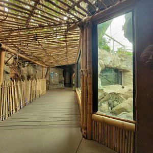 Franklin Park 7/22 - Tropical Forest path