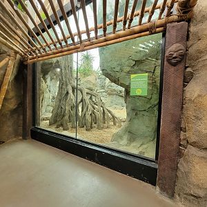 Franklin Park 7/22 - Tropical Forest, another gorilla window