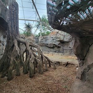 Franklin Park 7/22 - Tropical Forest, more of the gorilla area