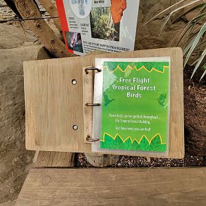 Franklin Park 7/22 - Tropical Forest, Free Flight Birds book