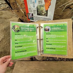 Franklin Park 7/22 - Tropical Forest, Free Flight Birds book, example pages