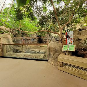 Franklin Park 7/22 - Tropical Forest, pygmy hippo