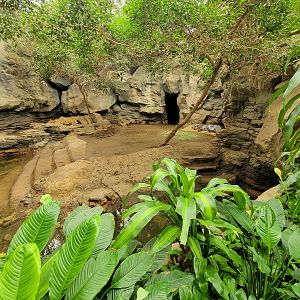 Franklin Park 7/22 - Tropical Forest, second pygmy hippo exhibit