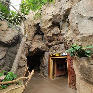 Franklin Park 7/22 - Tropical Forest, SlitherInn, an optional little bit with 2-3 snakes