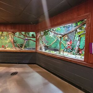 Franklin Park 7/22 - Tropical Forest, green anaconda