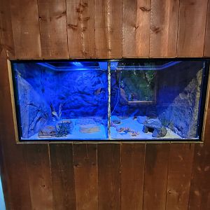 Franklin Park 7/22 - Tropical Forest, unsigned, empty?