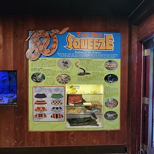 Franklin Park 7/22 - Tropical Forest, Snakes of the Tropics info