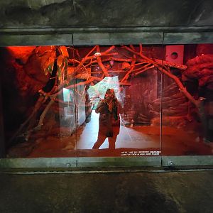 Franklin Park 7/22 - Tropical Forest, Potto