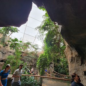 Franklin Park 7/22 - Tropical Forest