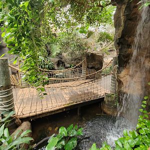 Franklin Park 7/22 - Tropical Forest