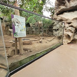 Franklin Park 7/22 - Tropical Forest, giant anteater