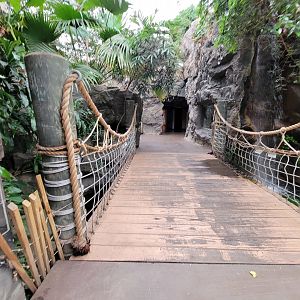 Franklin Park 7/22 - Tropical Forest, bridge