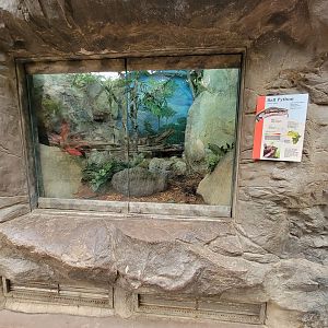 Franklin Park 7/22 - Tropical Forest, ball python