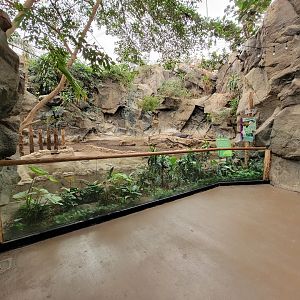 Franklin Park 7/22 - Tropical Forest, Baird's tapir