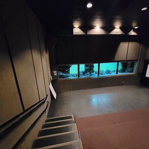 Franklin Park 7/22 - Tropical Forest, Malawi cichlids