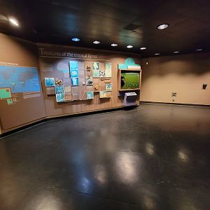 Franklin Park 7/22 - Tropical Forest, Treasures of the tropical forest