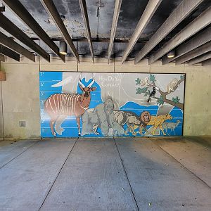 Franklin Park 7/22 - Tropical Forest, how do you compare?