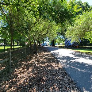 Franklin Park 7/22 - Kalahari Kingdom, path