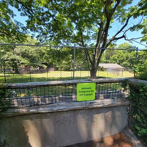 Franklin Park 7/22 - Kalahari Kingdom, kori bustard, off exhibit due to flu