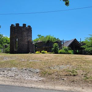 Franklin Park 7/22 - Kalahari Kingdom, upper lion viewing