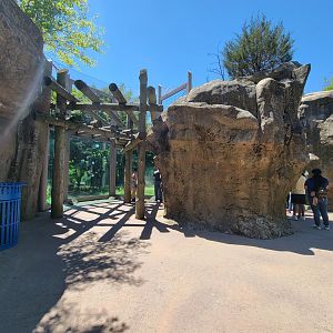 Franklin Park 7/22 - Kalahari Kingdom, upper lion viewing