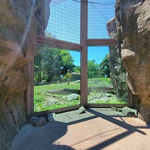 Franklin Park 7/22 - Kalahari Kingdom, lions, middle window